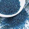 MIYUKI Round Rocailles Beads SEED-JP0008-RR0025-1