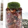 Dyed & Heated Natural Agate Beads G-J402-03B-01-3