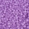 FGB Frosted Transparent Glass Seed Beads SEED-N013-04A-07-3