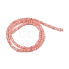 Natural Freshwater Shell Dyed Beads Strands SHEL-R100-11A-01-2