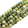 Natural Serpentine Beads Strands X-G-G829-06-10mm-1