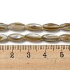 Natural Freshwater Shell Beads Strands SHEL-C005-04-4
