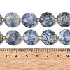 Natural Blue Spot Jasper Beads Strands G-A292-A10-01-6