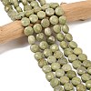 Natural Alashan Agate Beads Strands G-F812-B02-02-1