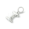 Rack Plating Brass with ABS Plastic Pearl European Dangle Charms KK-G501-02I-P-2