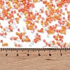 Baking Paint Glass Seed Beads SEED-S042-05B-45-4