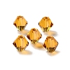 K9 Glass GLAA-R001-08-20-1