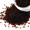 15/0 Transparent Czech Glass Seed Beads SEED-N004-004-21-1