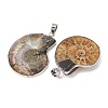 Fossil Pendants X-G-D051-1-5
