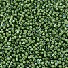 MIYUKI Delica Beads SEED-X0054-DB1786-4