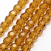 Glass Beads Strands EGLA-J042-8mm-04-1