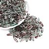Picasso Transparent Glass Seed Beads SEED-N012-11L-1
