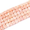Anti-Tarnish Electroplate Glass Beads Strands GLAA-T025-4mm-10J-1