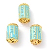 Alloy Enamel Beads ENAM-B001-01D-2