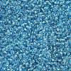 MIYUKI Round Rocailles Beads SEED-X0054-RR2429-3