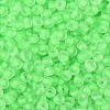 6/0 Luminous Glass Seed Beads SEED-NH0001-01H-4