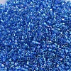 MIYUKI Delica Beads SEED-X0054-DB0177-3