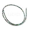 Natural African Turquoise(Jasper) Beads Strands G-H255-08-3