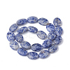 Natural Blue Spot Jasper Beads Strands G-S292-45-2
