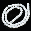 Natural Trochid Shell/Trochus Shell Beads Strands SSHEL-N034-121-B01-2