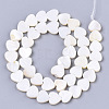 Natural Freshwater Shell Beads Strands X-SHEL-S276-70-3