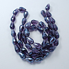 Electroplate Glass Beads Strands X-EGLA-R008-15x10mm-15-2