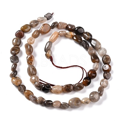 Natural Black Sunstone Beads Strands G-G018-03B-1