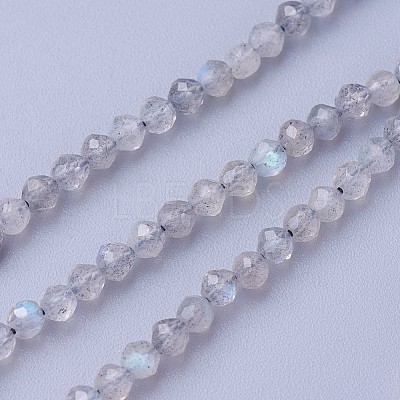 Natural Labradorite Beads Strands X-G-F619-15-3mm-1