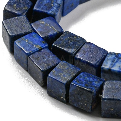 Natural Lapis Lazuli Beads Strands G-C084-E05-01-1
