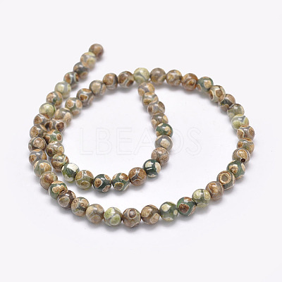 Natural Tibetan Turtle Back Pattern dZi Agate Beads Strands G-F354-04-1