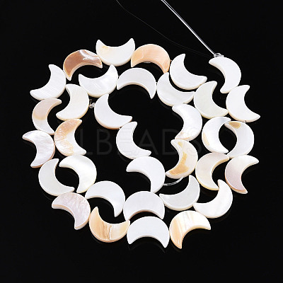 Natural Freshwater Shell Beads Strands SHEL-Q024-015B-01-1