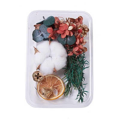Dried Flowers DIY-D052-06-1