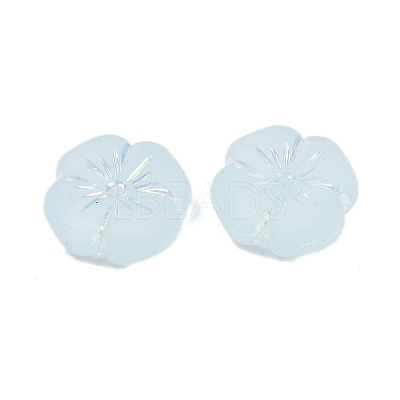 Frosted Transparent Acrylic Beads OACR-P029-19B-06-1