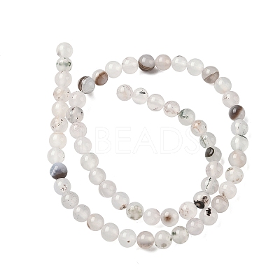Natural Dendritic Agate Beads Strands G-C011-6mm-01-1