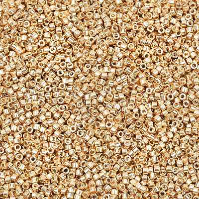 MIYUKI Delica Beads X-SEED-J020-DB2501-1