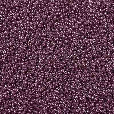 MIYUKI Round Rocailles Beads SEED-JP0009-RR0313-1