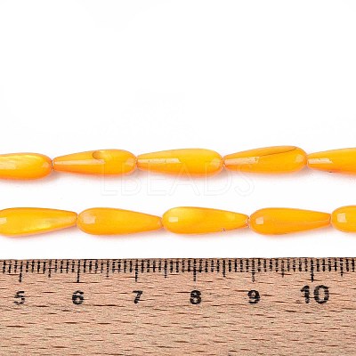 Natural Freshwater Shell Beads Strands SHEL-A004-03D-1