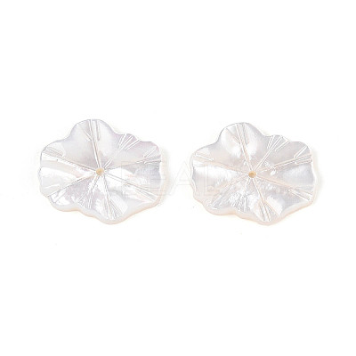 Natural White Shell Carved Leaf Beads BSHE-T014-31A-1