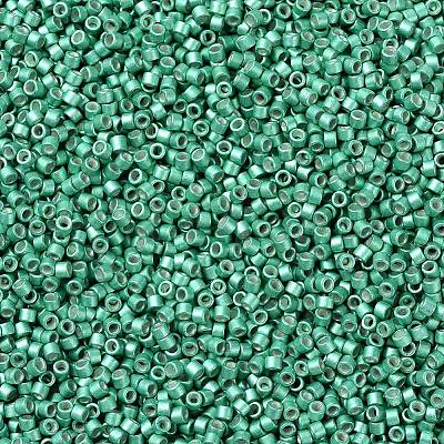 MIYUKI Delica Beads SEED-MY11-DB1182-1
