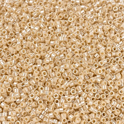 MIYUKI Delica Beads X-SEED-J020-DB1561-1