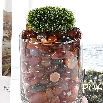 Dyed & Heated Natural Agate Beads G-J402-03B-01-1