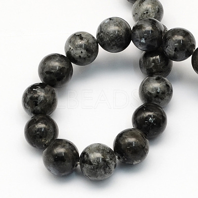 Natural Larvikite Round Beads Strands G-S159-8mm-1