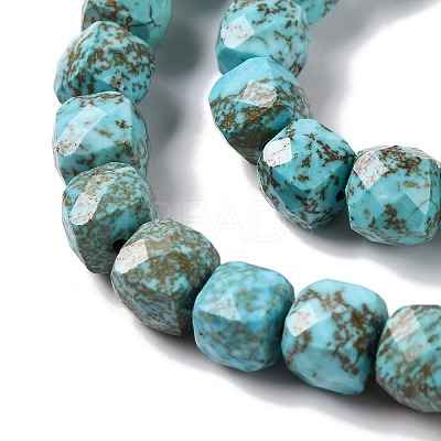 Natural Howlite Beads Strands G-G001-B03-02-1