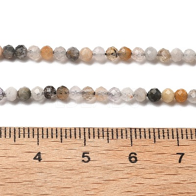 Natural Black Rutilated Quartz Beads Strands G-RM241221-B24-1