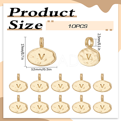 10Pcs Alloy Pendants FIND-LP0003-36V-1