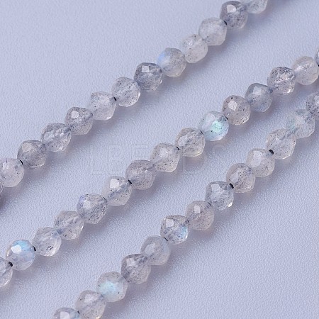 Natural Labradorite Beads Strands X-G-F619-15-3mm-1