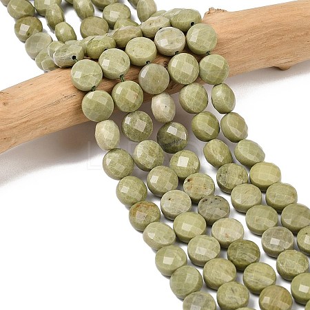 Natural Alashan Agate Beads Strands G-F812-B02-02-1