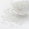 8/0 Glass Seed Beads X-SEED-A007-3mm-161-1