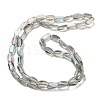 Electroplate Glass Beads Strands EGLA-P064-01A-FR04-2