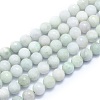 Natural Myanmar Jade/Burmese Jade Beads Strands G-K310-A27-8mm-1